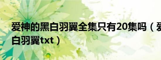 爱神的黑白羽翼全集只有20集吗（爱神的黑白羽翼txt）