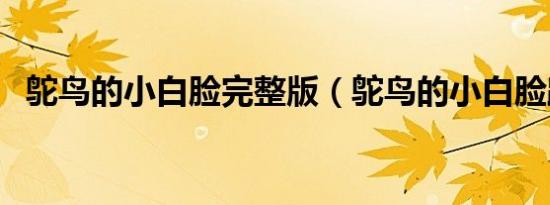 鸵鸟的小白脸完整版（鸵鸟的小白脸路线）