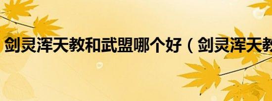 剑灵浑天教和武盟哪个好（剑灵浑天教服装）