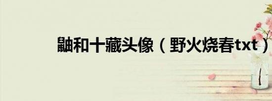 鼬和十藏头像（野火烧春txt）