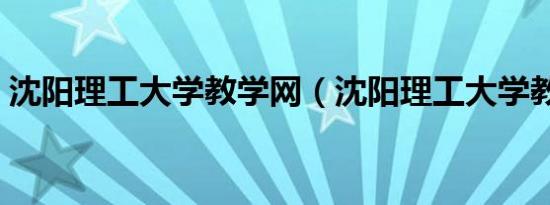 沈阳理工大学教学网（沈阳理工大学教学网）