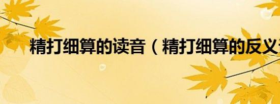 精打细算的读音（精打细算的反义词）