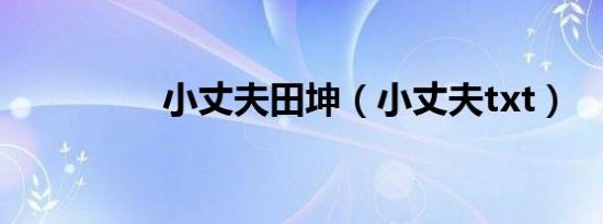 小丈夫田坤（小丈夫txt）