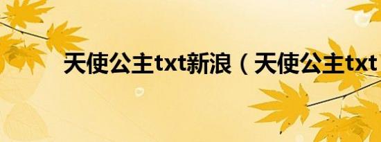 天使公主txt新浪（天使公主txt）