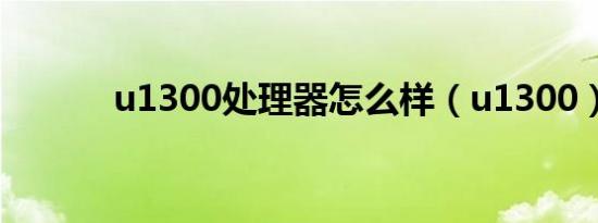 u1300处理器怎么样（u1300）