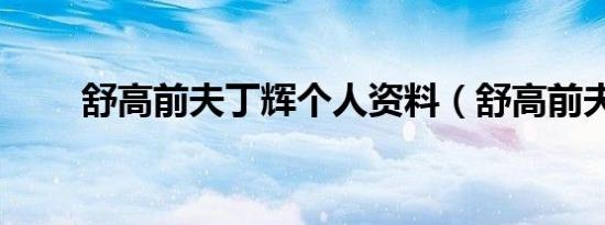 舒高前夫丁辉个人资料（舒高前夫）