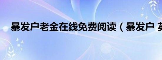 暴发户老金在线免费阅读（暴发户 英语）