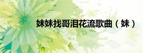 妹妹找哥泪花流歌曲（妹）