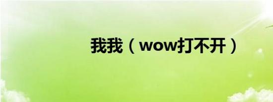 我我（wow打不开）