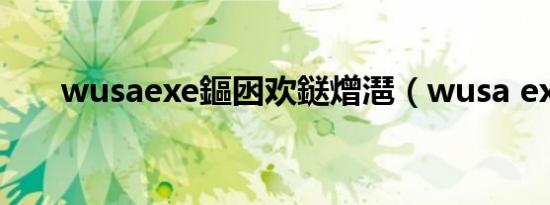 wusaexe鏂囦欢鎹熷潖（wusa exe）