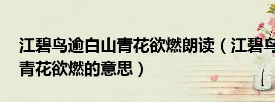 江碧鸟逾白山青花欲燃朗读（江碧鸟逾白 山青花欲燃的意思）