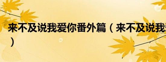 来不及说我爱你番外篇（来不及说我爱你番外）