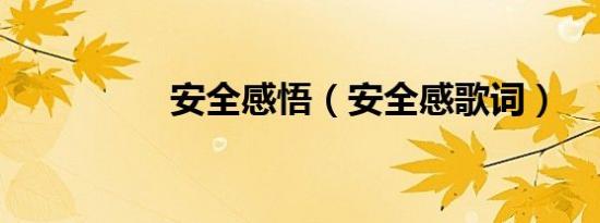 安全感悟（安全感歌词）