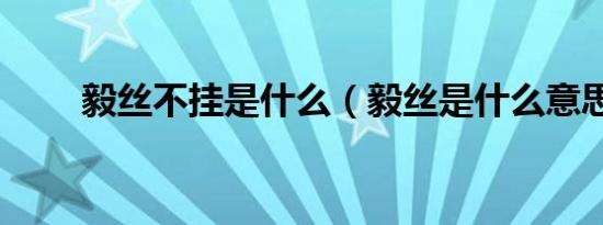 毅丝不挂是什么（毅丝是什么意思）