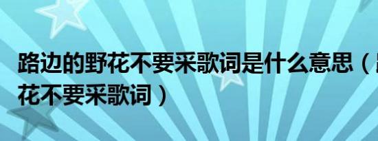 路边的野花不要采歌词是什么意思（路边的野花不要采歌词）