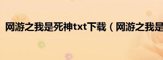 网游之我是死神txt下载（网游之我是死神）