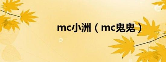 mc小洲（mc鬼鬼）