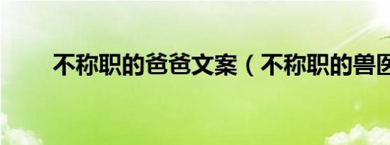 不称职的爸爸文案（不称职的兽医）
