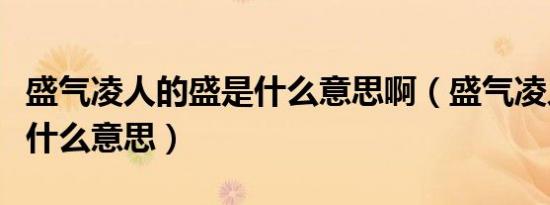 盛气凌人的盛是什么意思啊（盛气凌人的盛是什么意思）