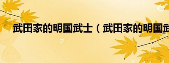 武田家的明国武士（武田家的明国武士）