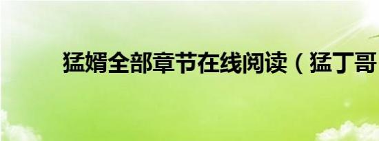 猛婿全部章节在线阅读（猛丁哥）
