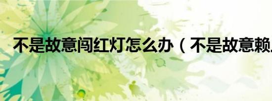 不是故意闯红灯怎么办（不是故意赖上你）