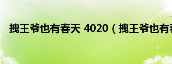 拽王爷也有春天 4020（拽王爷也有春天）