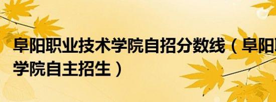 阜阳职业技术学院自招分数线（阜阳职业技术学院自主招生）