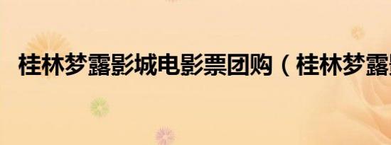 桂林梦露影城电影票团购（桂林梦露影城）
