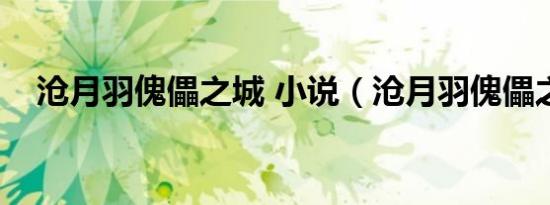 沧月羽傀儡之城 小说（沧月羽傀儡之城）
