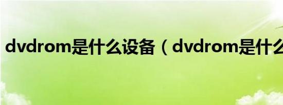 dvdrom是什么设备（dvdrom是什么意思）