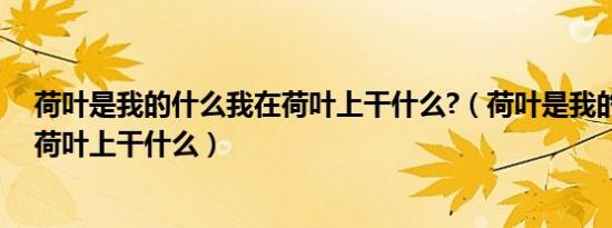 荷叶是我的什么我在荷叶上干什么?（荷叶是我的什么我在荷叶上干什么）