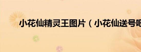 小花仙精灵王图片（小花仙送号吧）