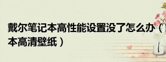 戴尔笔记本高性能设置没了怎么办（戴尔笔记本高清壁纸）