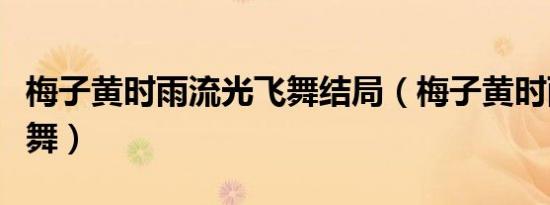 梅子黄时雨流光飞舞结局（梅子黄时雨流光飞舞）