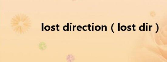 lost direction（lost dir）