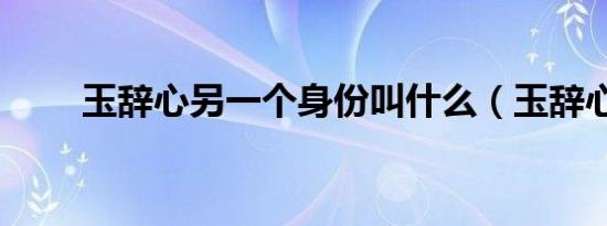 玉辞心另一个身份叫什么（玉辞心）