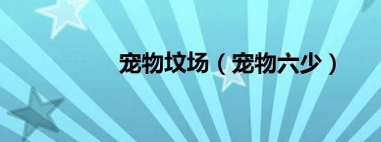 宠物坟场（宠物六少）