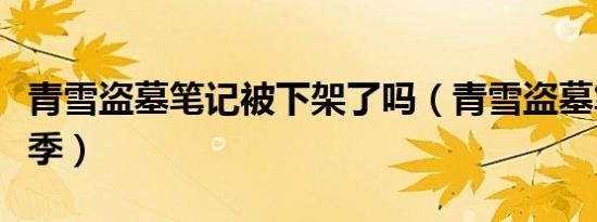 青雪盗墓笔记被下架了吗（青雪盗墓笔记第五季）