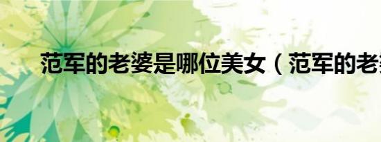 范军的老婆是哪位美女（范军的老婆）