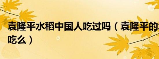 袁隆平水稻中国人吃过吗（袁隆平的水稻有人吃么）