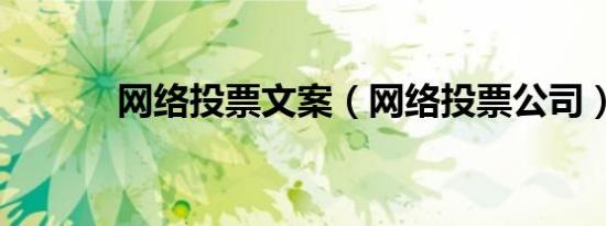 网络投票文案（网络投票公司）