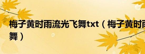 梅子黄时雨流光飞舞txt（梅子黄时雨流光飞舞）