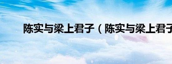 陈实与梁上君子（陈实与梁上君子）