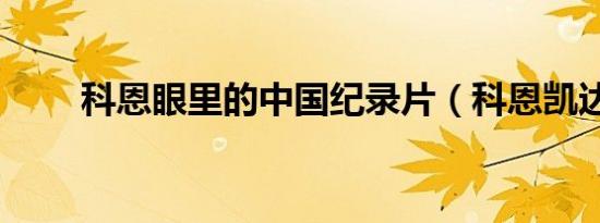科恩眼里的中国纪录片（科恩凯达）