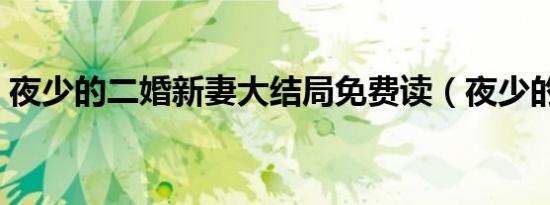 夜少的二婚新妻大结局免费读（夜少的废妻）