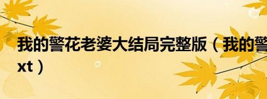 我的警花老婆大结局完整版（我的警花老婆txt）