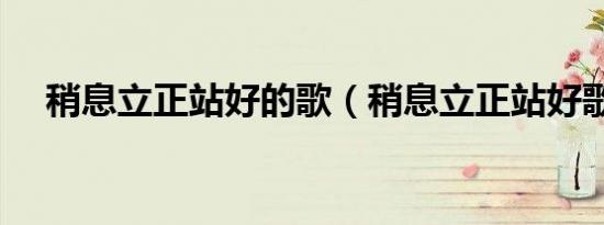 稍息立正站好的歌（稍息立正站好歌词）