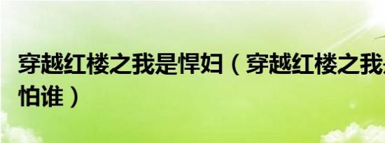 穿越红楼之我是悍妇（穿越红楼之我是悍妇我怕谁）