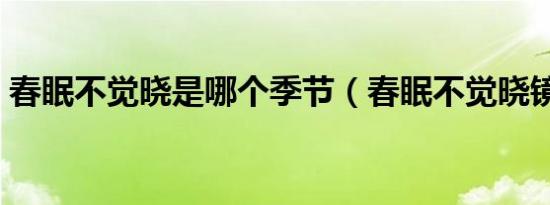 春眠不觉晓是哪个季节（春眠不觉晓镜中影）